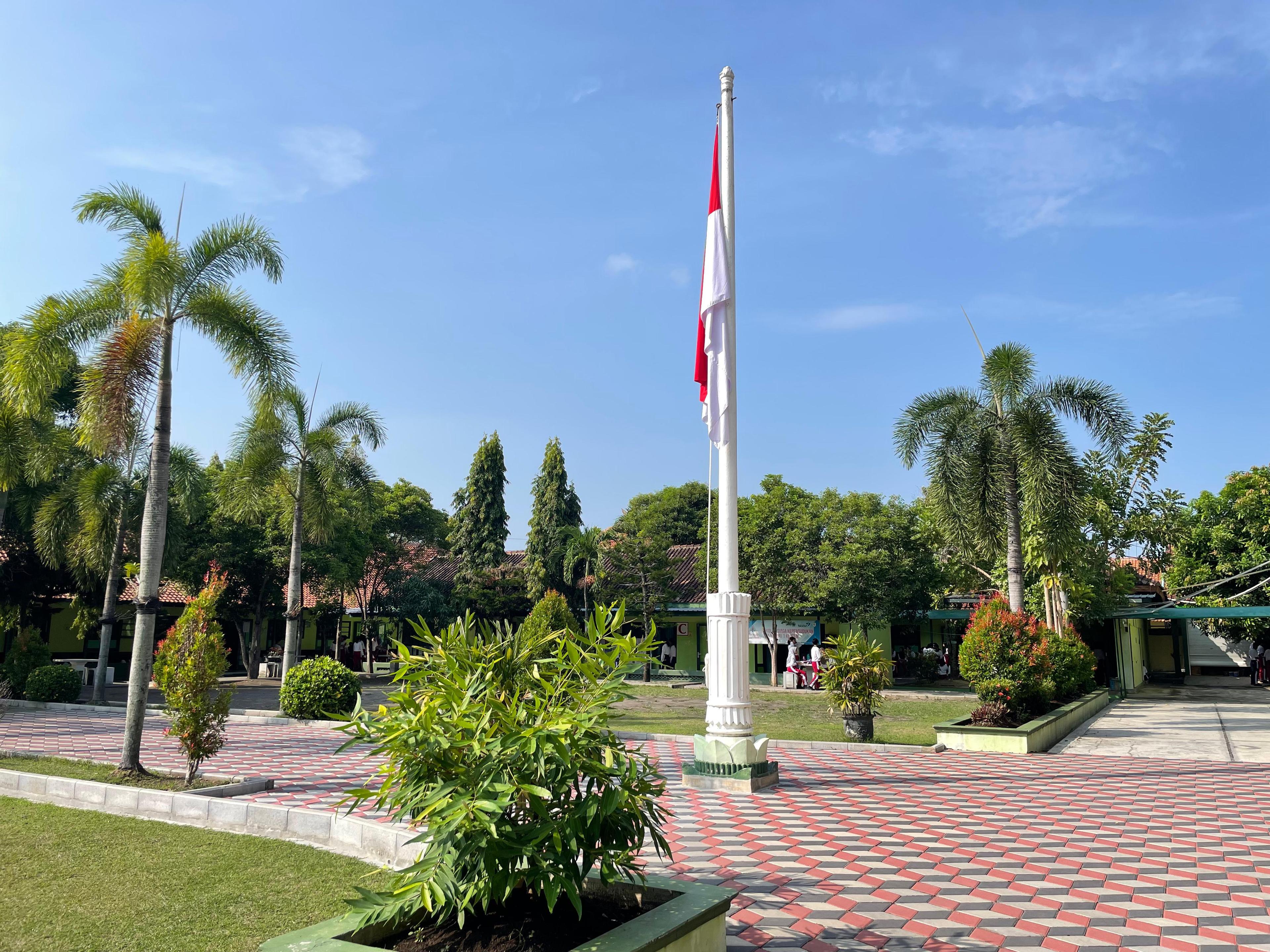 Image 5